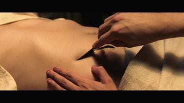 medicus-erben-108~_v-standard368_4c8e6a