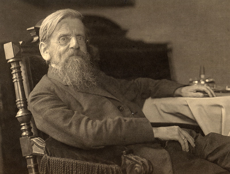 800px-Schlatter_im_Lehnstuhl