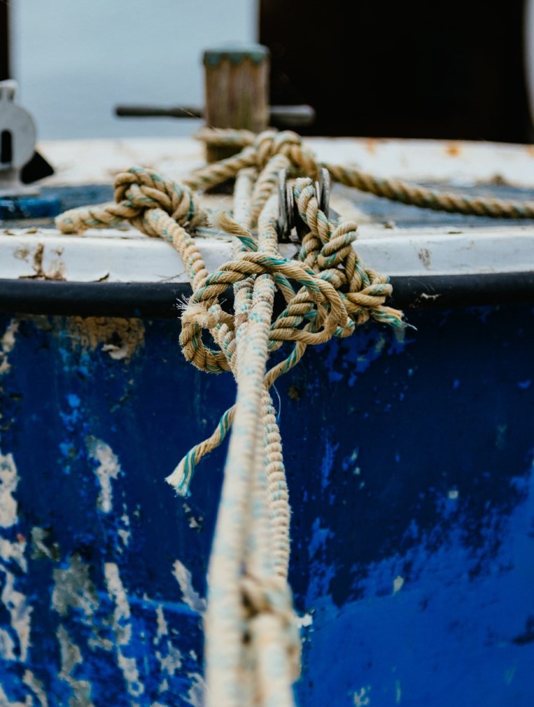 james-baldwin-My3DsC8yN3Y-unsplash (Mittel)